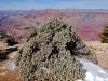 Grand Canyon 0728