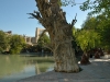 Buchara 0386