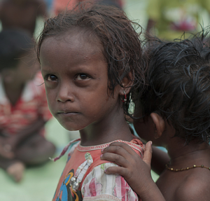 (fot. shutterstock.com)