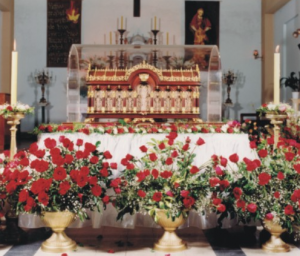 Relikwie św. Teresy od Dzieciątka Jezus