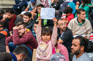 (fot. shutterstock.com)