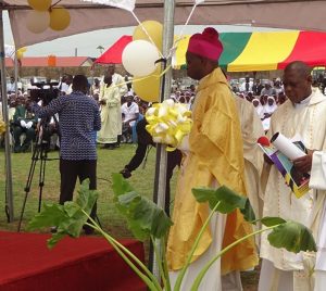 misjonarzeafryki.org