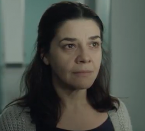 (fot. shutterstock.com)