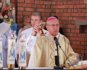 prowincja.panewniki.pl