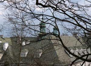 (fot. mammal / Foter.com / CC BY-NC-SA 2.0)